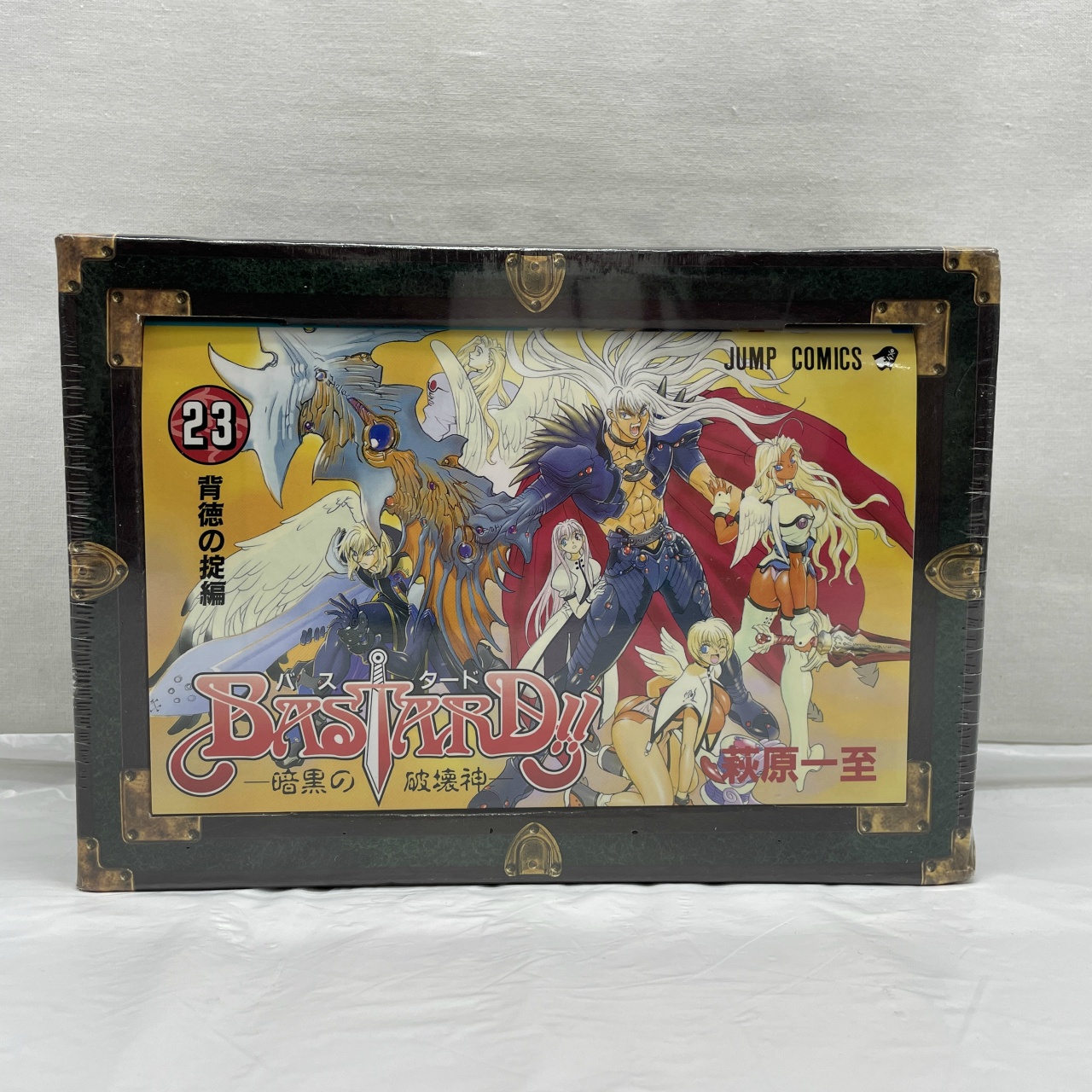 BASTARD!! -暗黒の破壊神- 第23巻 初回限定BOX仕様 フィギュア 特装版 リリス