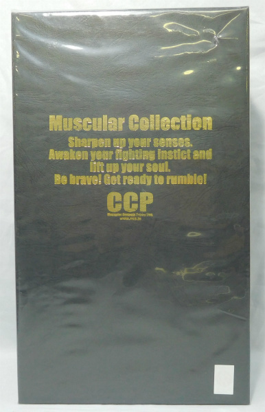 CCP Vol.DX ザ・ニンジャ 焦熱地獄ver.(匠仕様) 発光ギミック付き