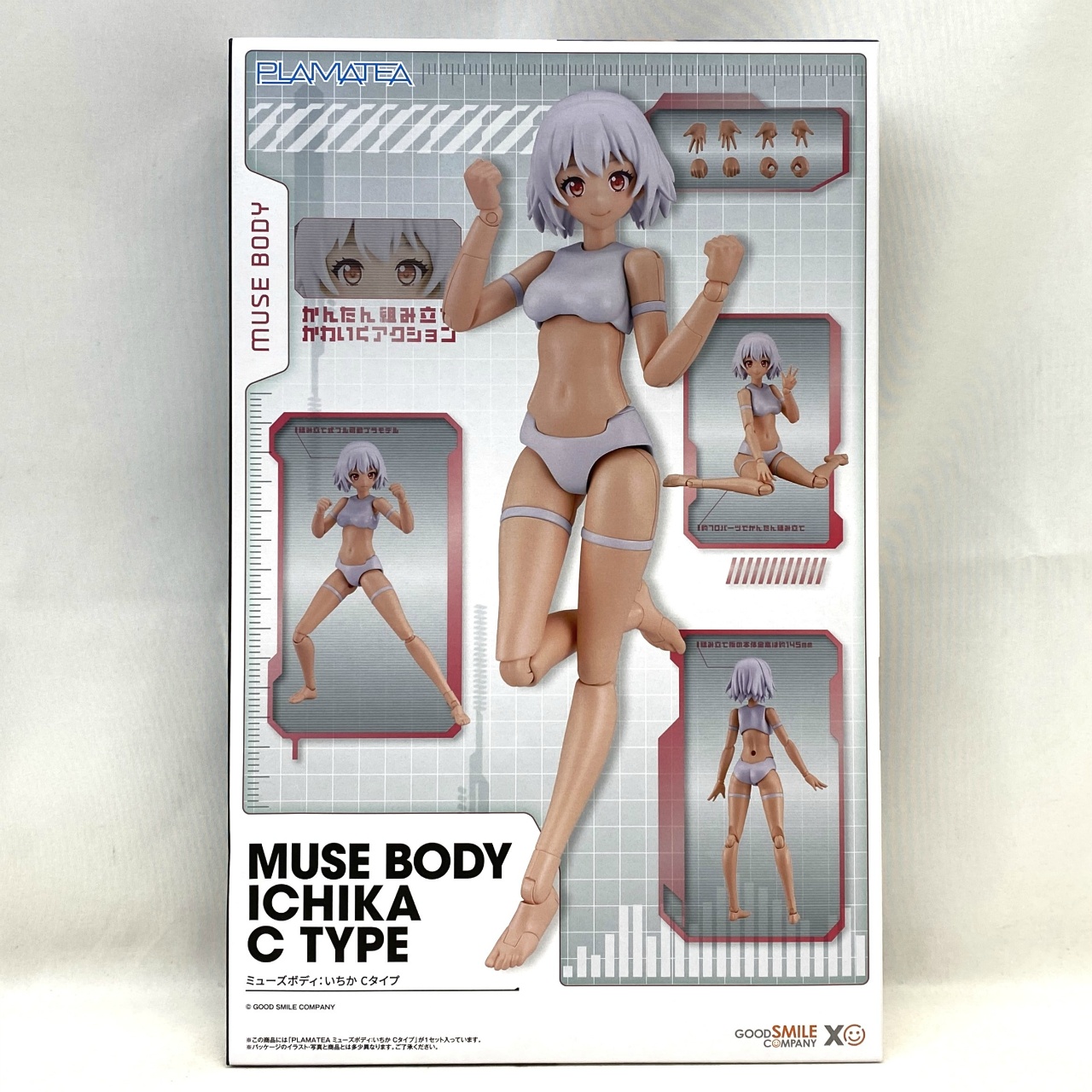 PLAMATEA ミューズボディ:いちか Cタイプ