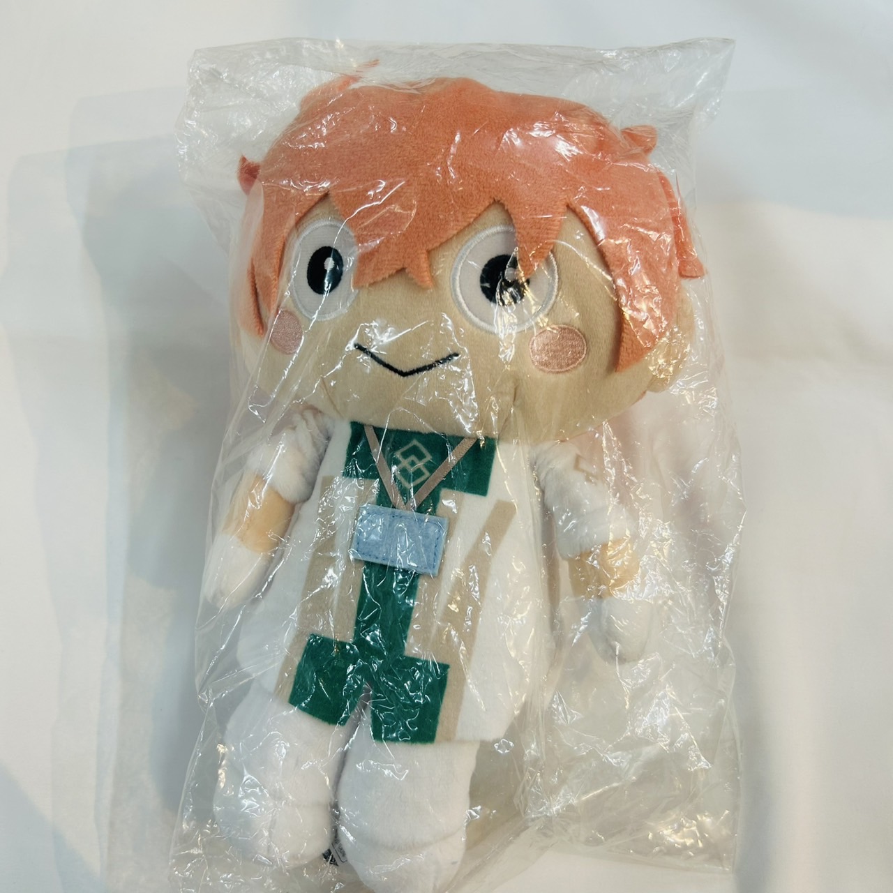 Fate/Grand Order ゆるっとぬいぐるみ ロマニ・アーキマン