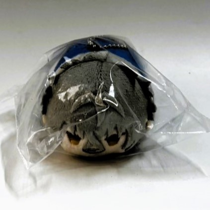 あんさんぶるスターズ!! もちもちマスコット Bright me Up!! vol.7 大神晃牙