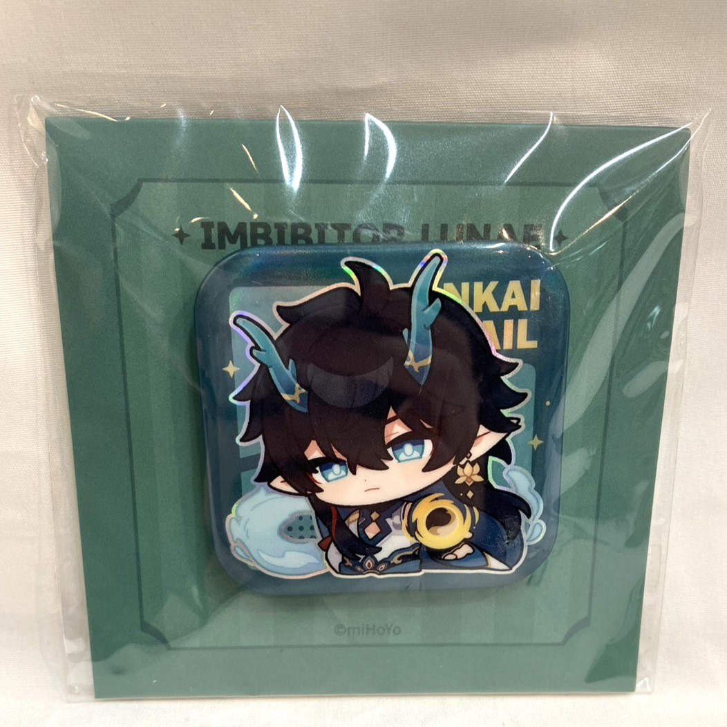 Honkai: Star Rail Pam Exhibition Series Can Badge Danheng & Yinyue