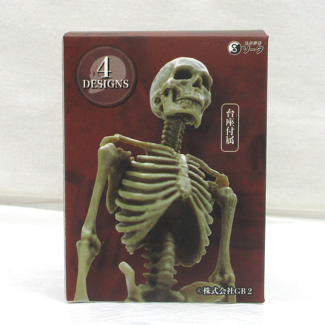 博物モデリング倶楽部・壱 1/12ヒト骨格Ⅱ【単品】
