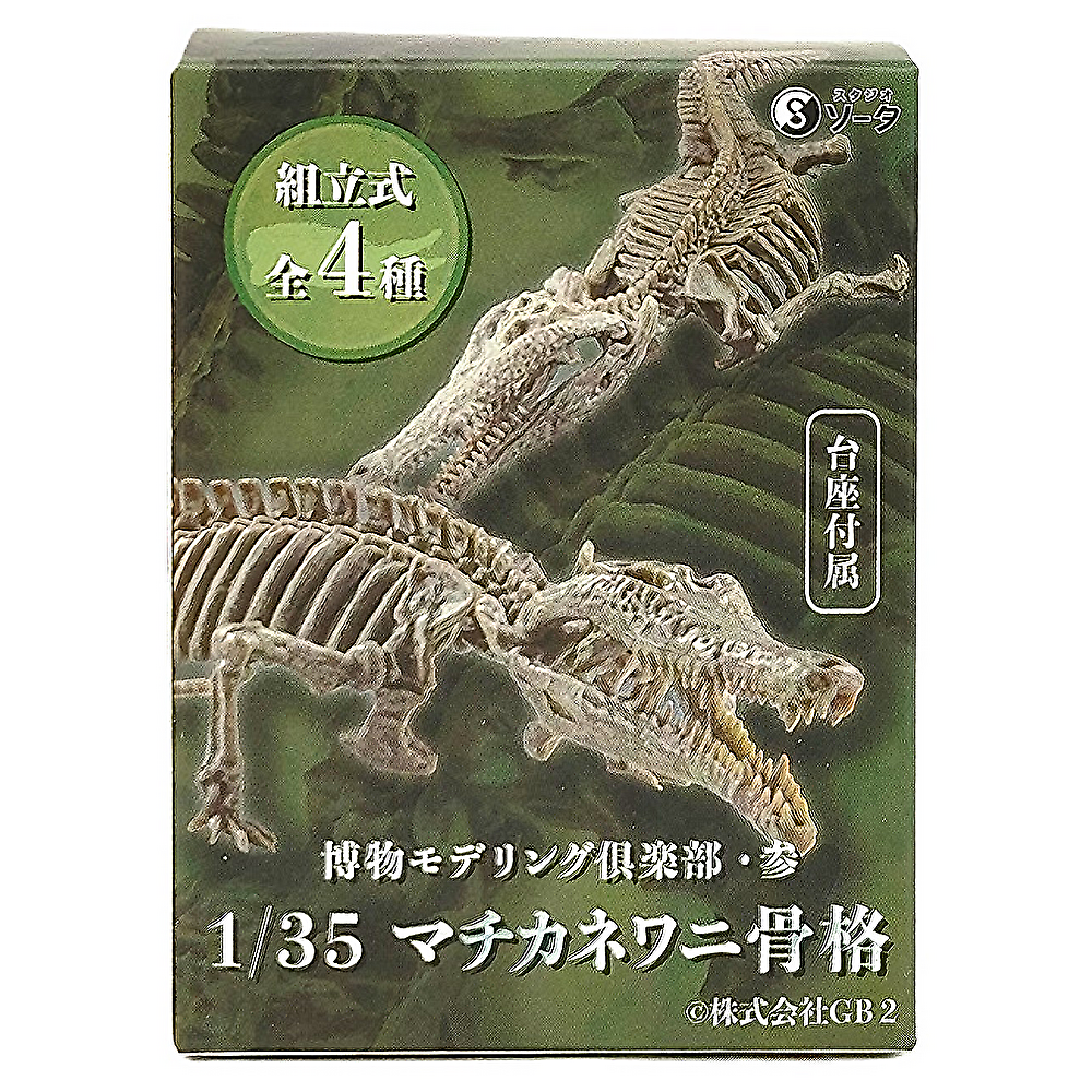 SO-TA 博物モデリング倶楽部・参 1/35マチカネワニ骨格 【単品】