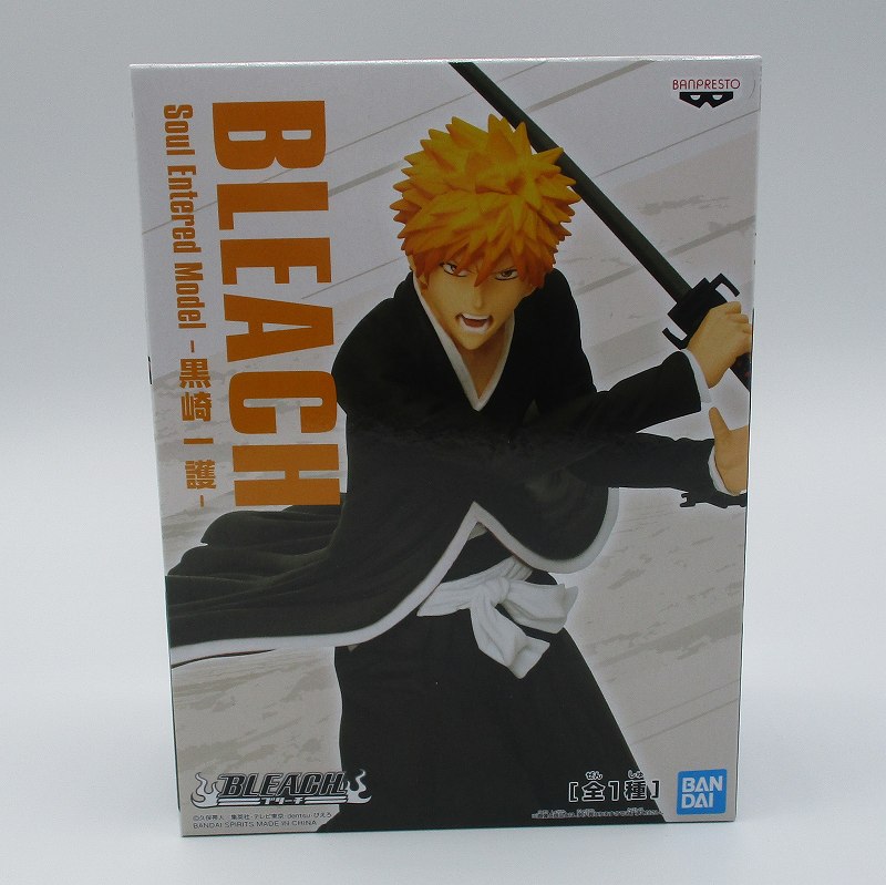 BLEACH Soul Entered Model -黒崎一護- 2541879