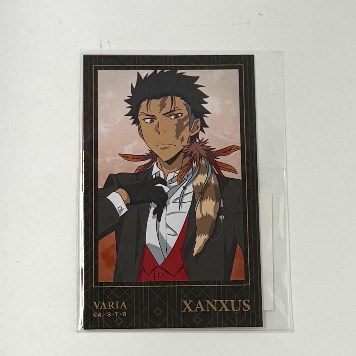 家庭教師ヒットマンREBORN! 描き下ろし XANXUS 燕尾服ver. インスタントカメラ風イラストカード2枚セット