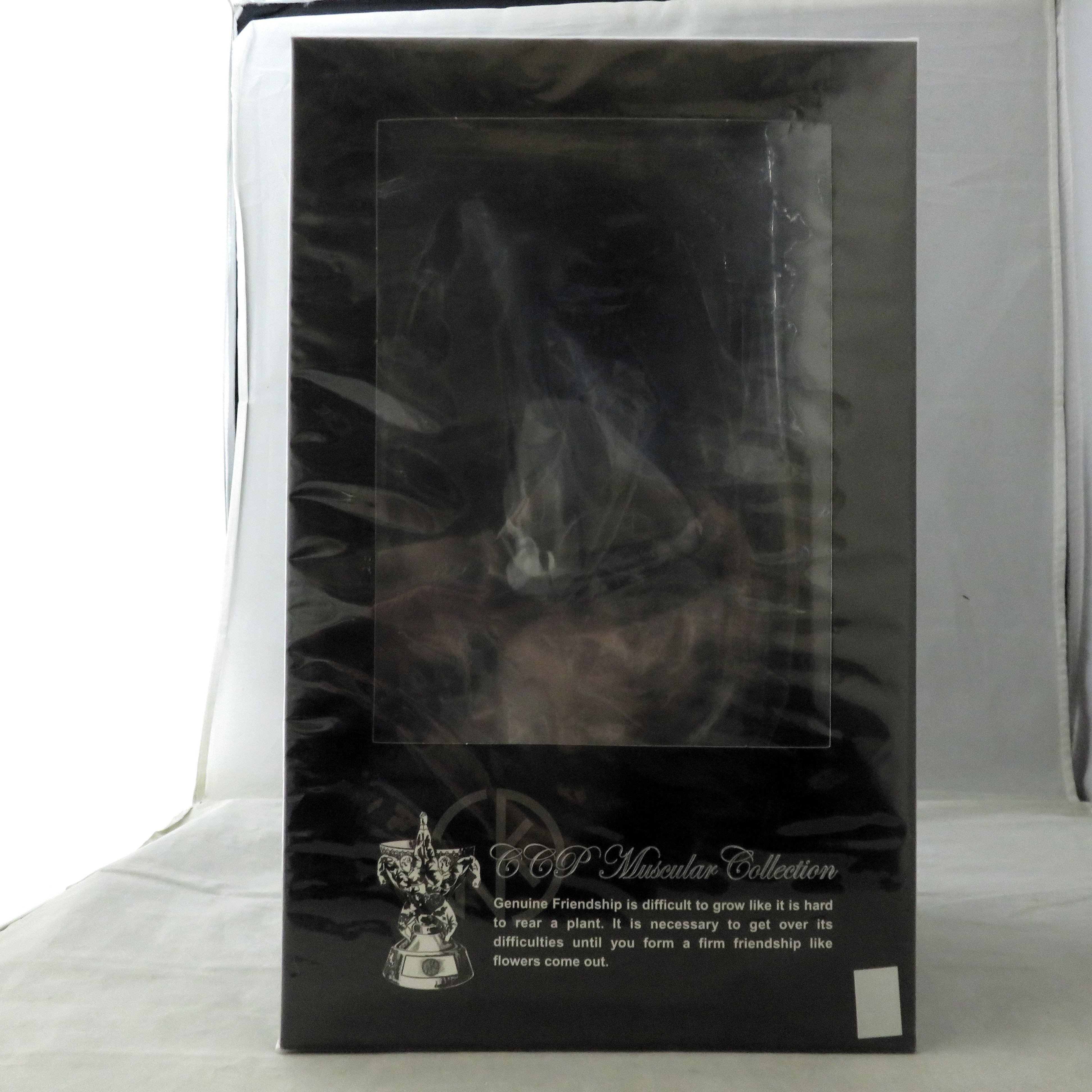 CCP CMC No.70 カラスマン 原作カラー B-Type