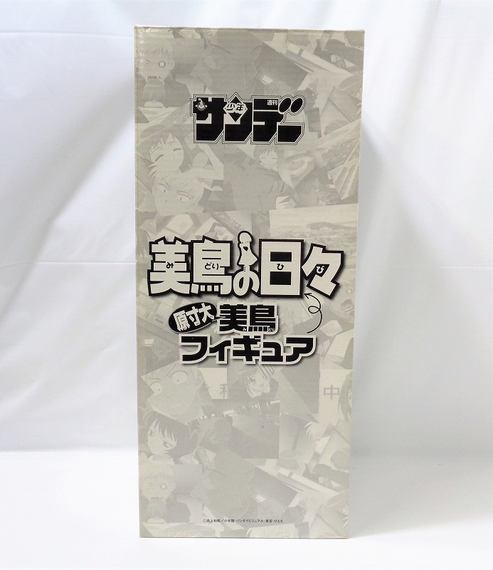 Full size beautiful bird figure beautiful bird days