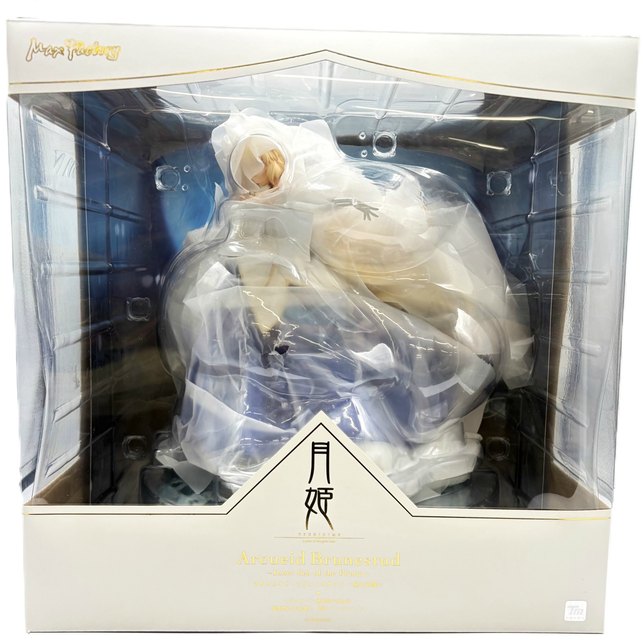 月姫 -A piece of blue glass moon- アルクェイド・ブリュンスタッド ～星の内海～ 1/8