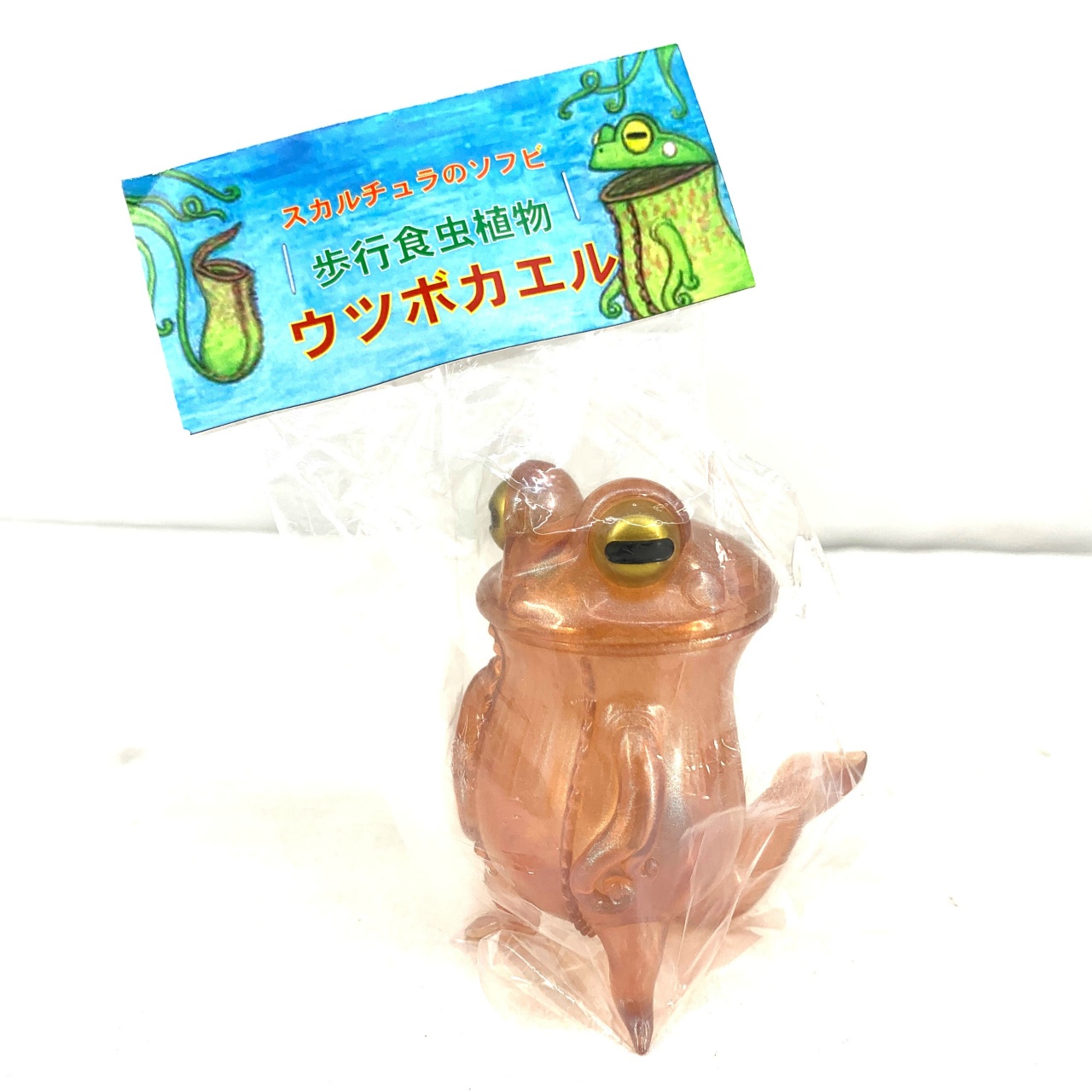スカルチュラ 歩行食虫植物 ウツボカエル (マジョーラ)