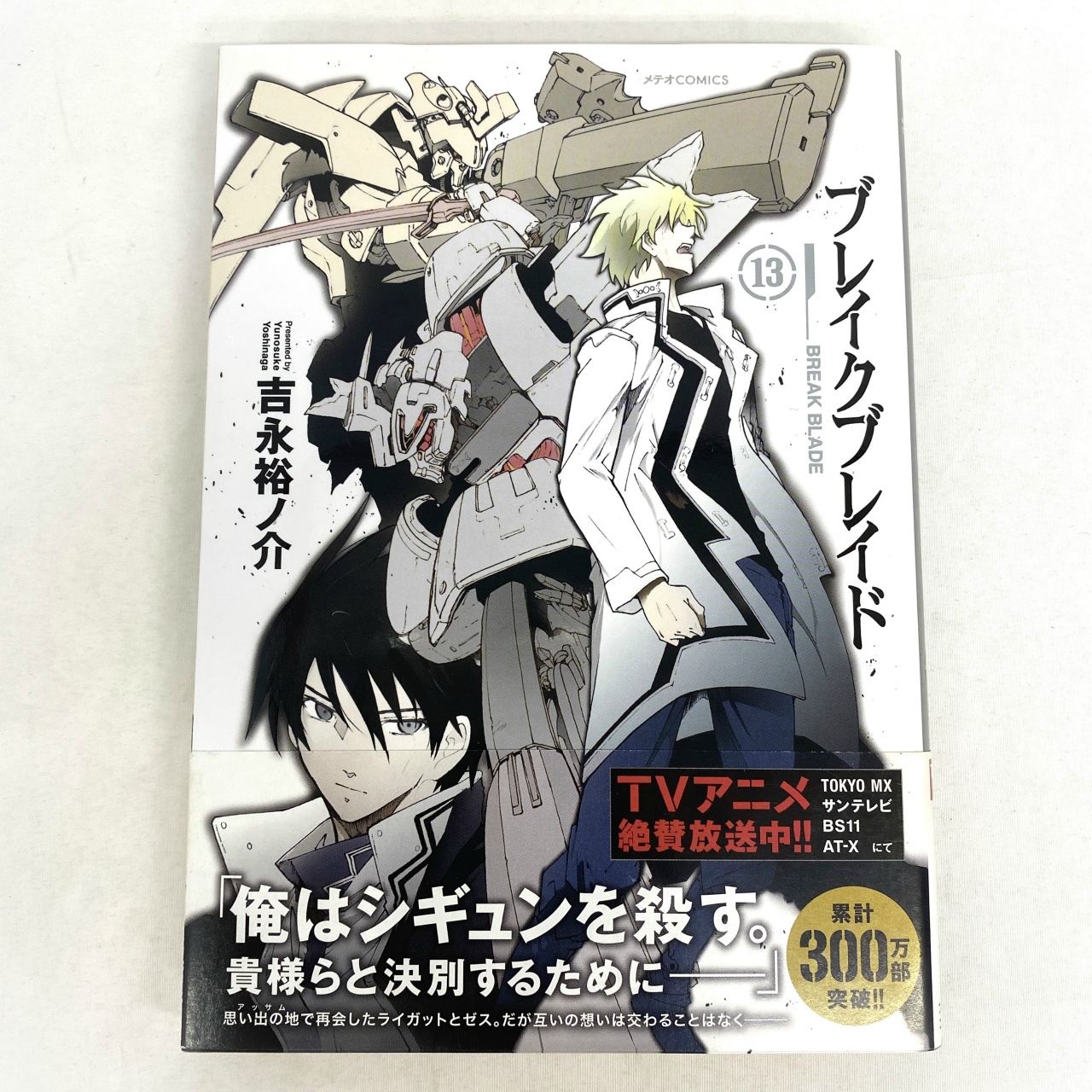 メテオCOMICS ブレイクブレイド 13 吉永裕ノ介