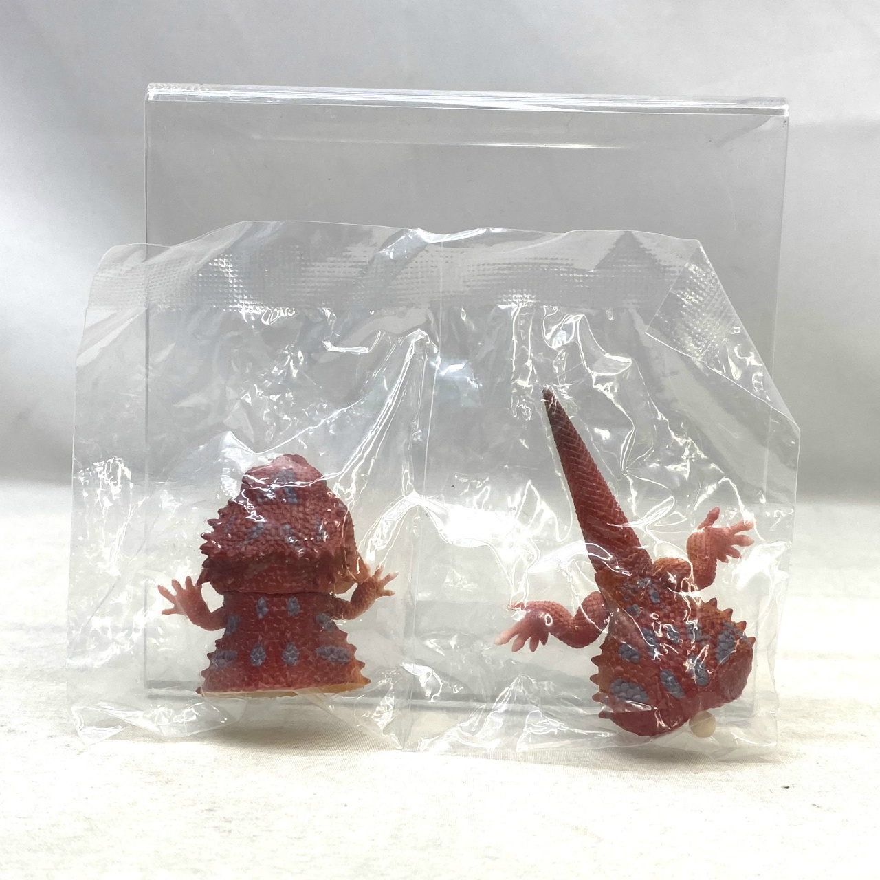 いきもの大図鑑レプティ アルマジロトカゲとフトアゴヒゲトカゲ 4.フトアゴヒゲトカゲ(スーパーレッド)