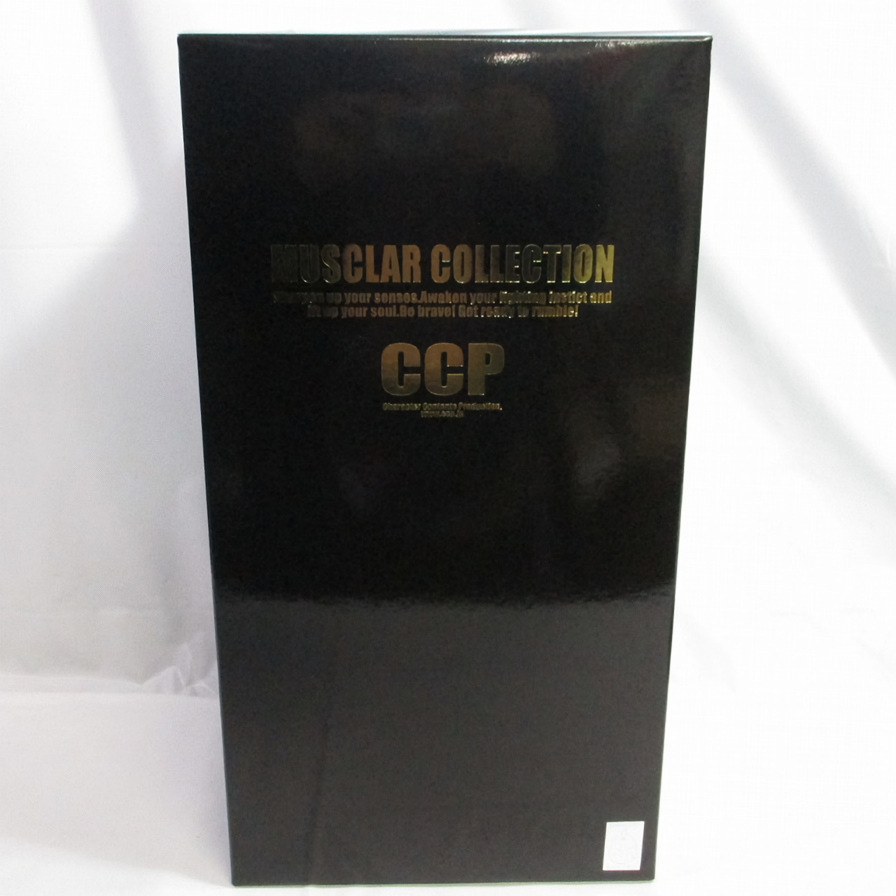 CCP NO.37 ウォーズマン Ver.1.0 AJカラー