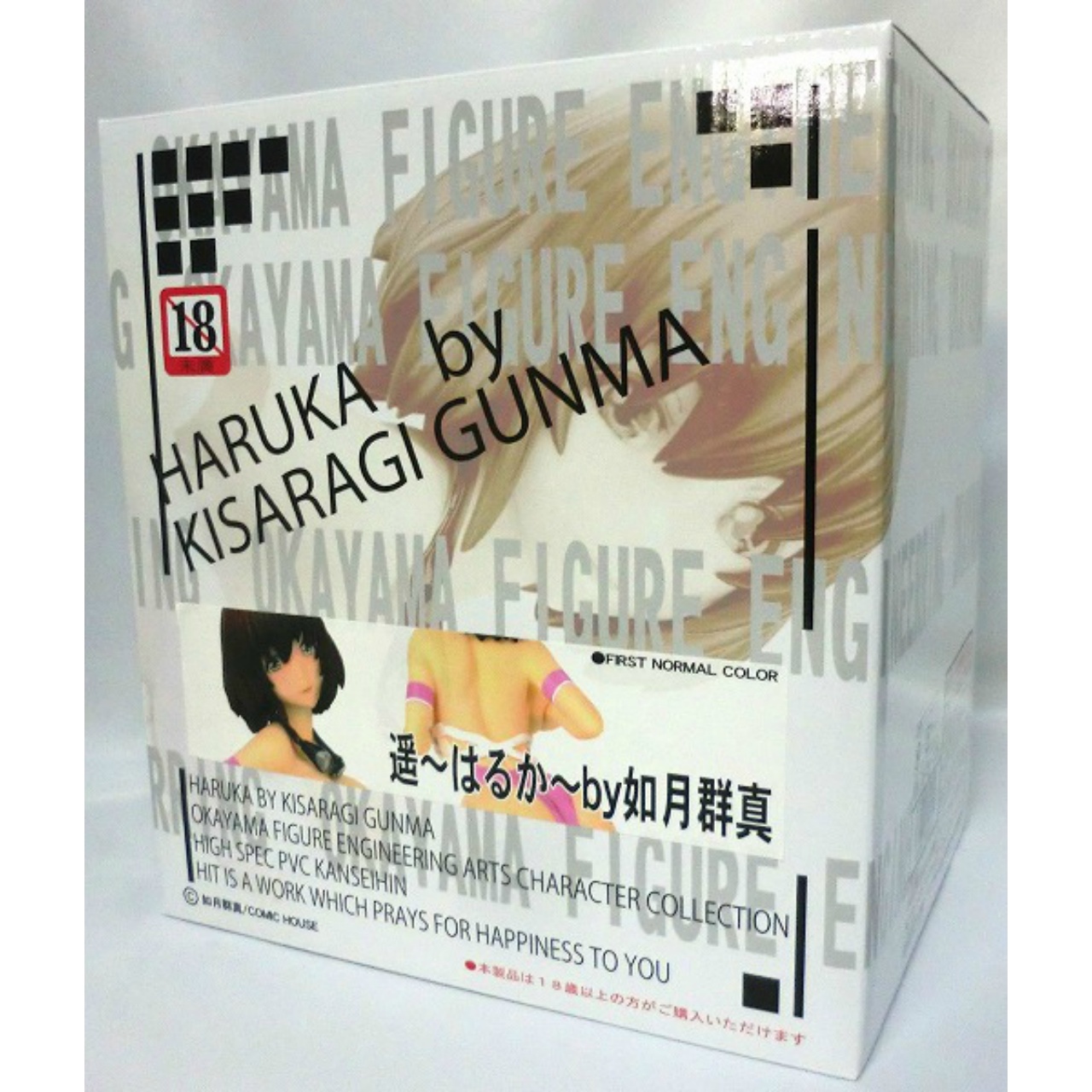 OKAYAMA Figure Engineering Haruka by Gunma Kisaragi PVC