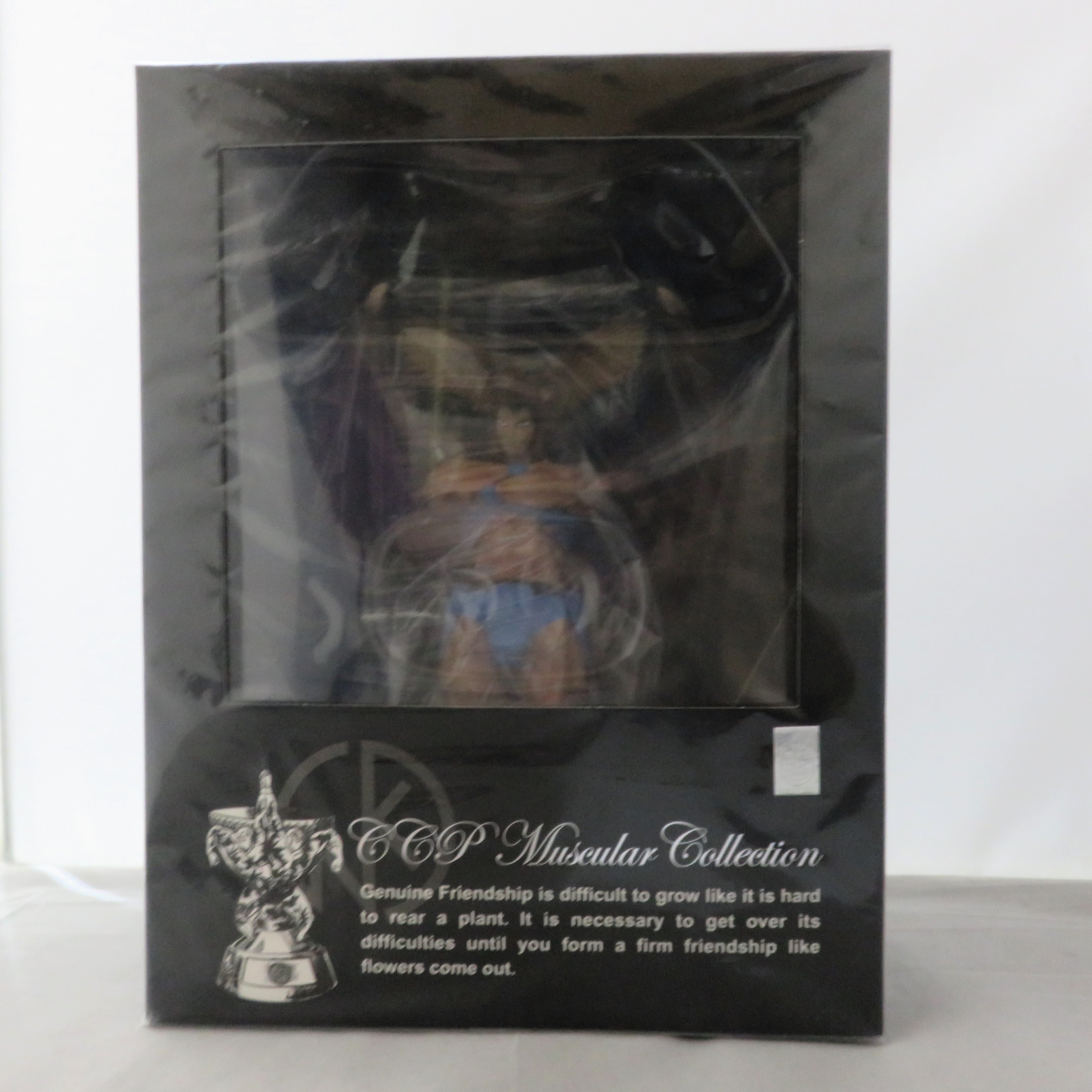 CCP CMC NO.EX ザ・ホークマン JCSカラー