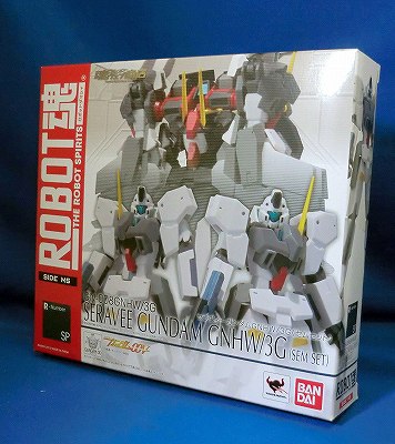 魂ウェブ限定 ROBOT魂 セラヴィーガンダム GNHW/3G セムセット