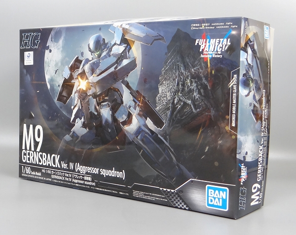 バンダイ HG 1/60 ガーンズバック Ver.IV (アグレッサー部隊機)