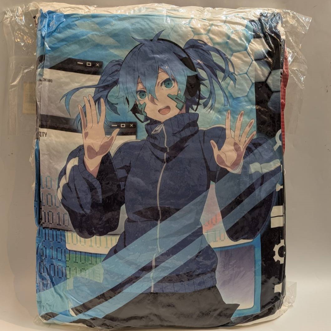 Ani Kuji Mekakucity Actors [Prize B] Cushion (Ene and Shintaro)