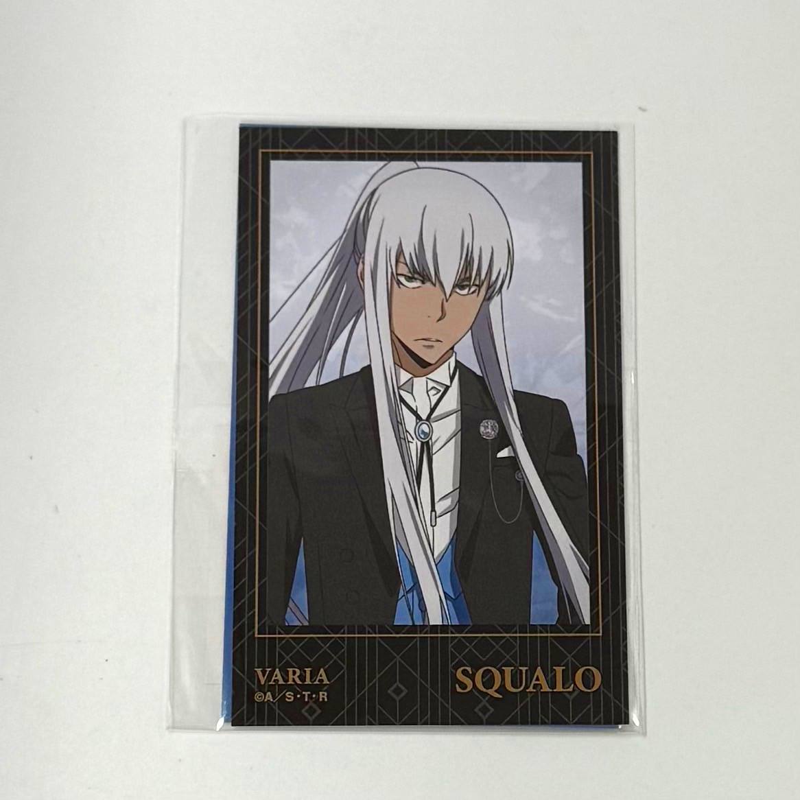 家庭教師ヒットマンREBORN! 描き下ろし スペルビ・スクアーロ 燕尾服ver. インスタントカメラ風イラストカード2枚セット