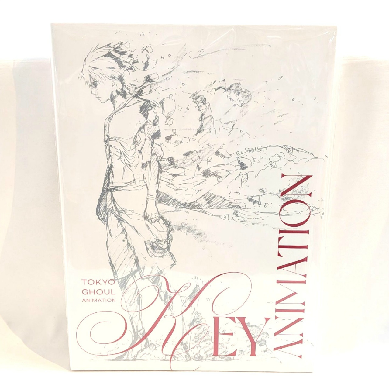 TVアニメ『東京喰種トーキョーグール』原画集