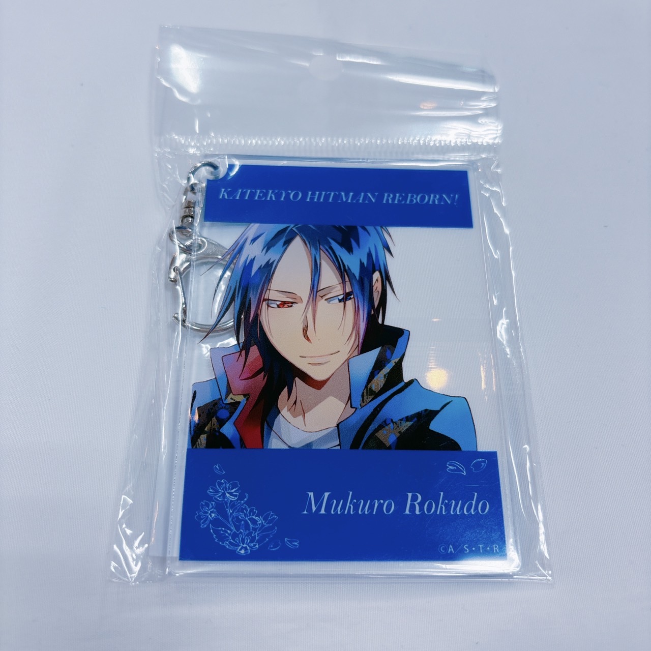 Katekyo Hitman Reborn  instantphoto  key ring PALE TONE series mukuro rokudou