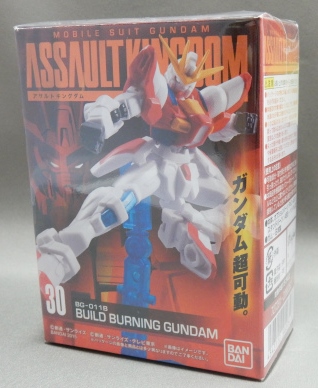 Assault Kingdom - Build Burning Gundam
