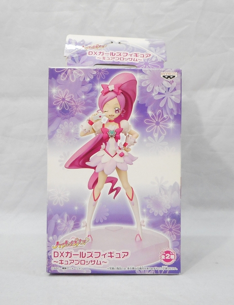ハートキャッチプリキュア! DXガールズフィギュア～キュアブロッサム～(B)