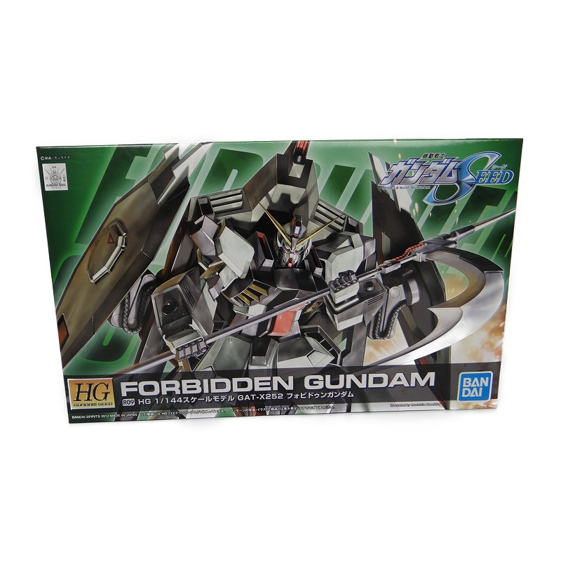 HG 1/144 R09 GAT-X252 Forbidden Gundam
