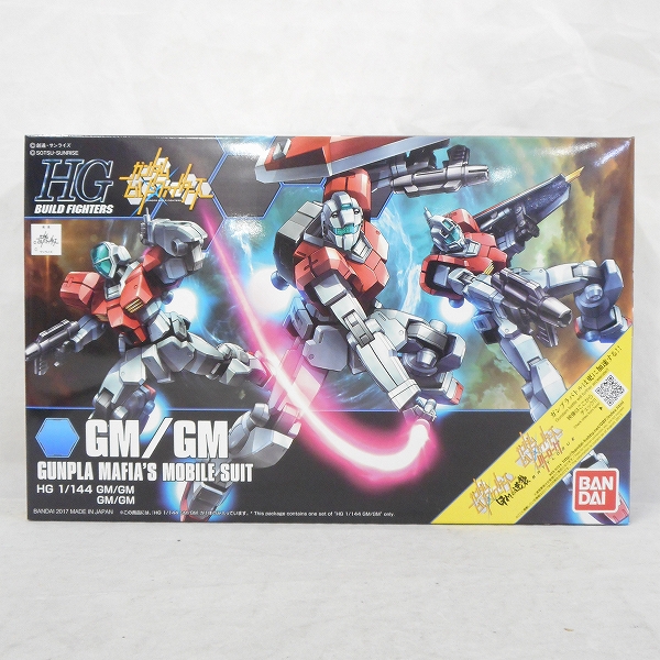 HG 1/144 GM/GM