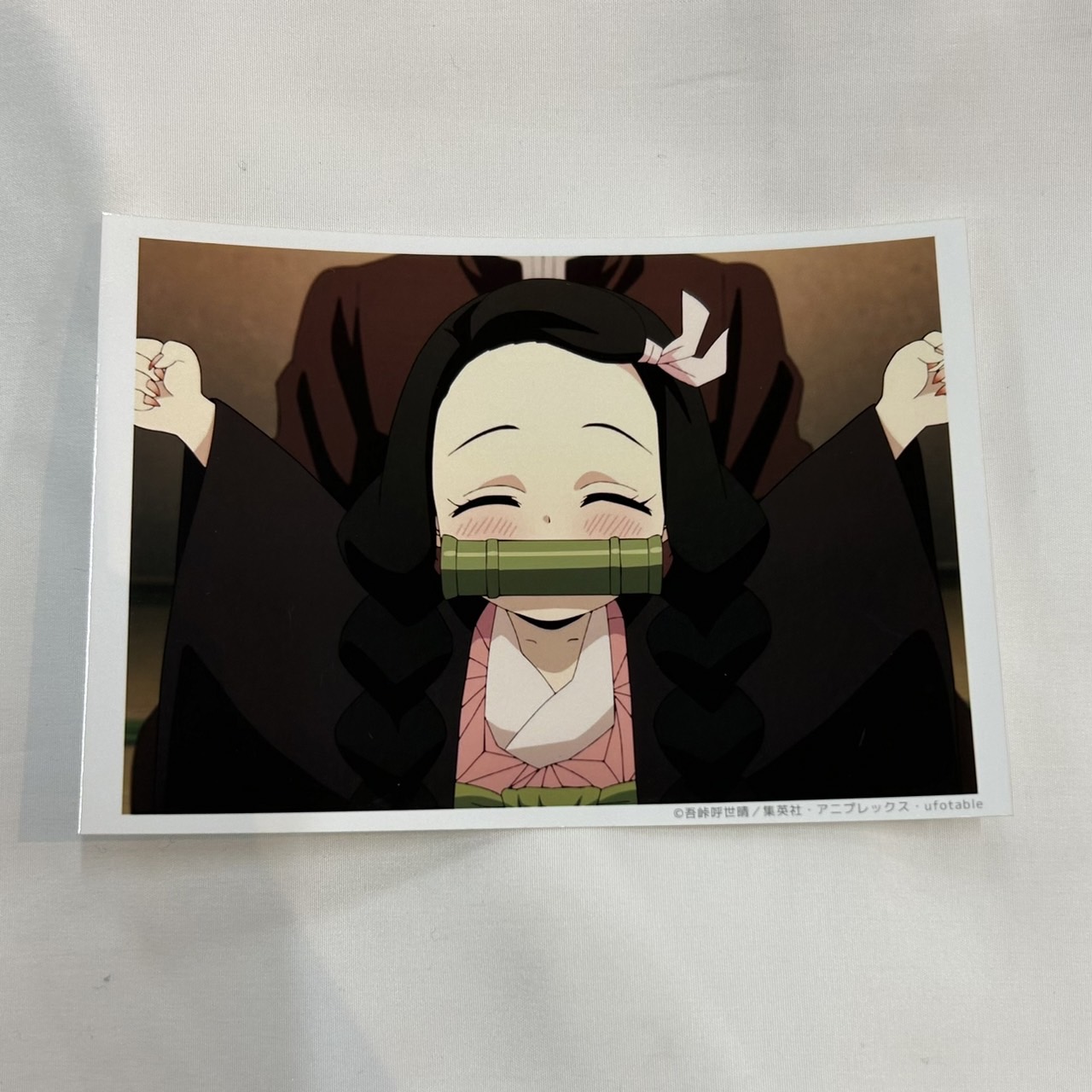 Demon Slayer: Kimetsu no Yaiba Village of Swordsmiths andom still photo bromide Episode 3 Nezuko Kamado