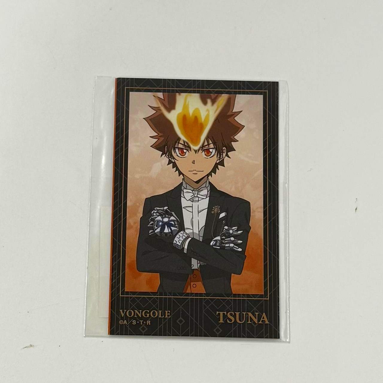 家庭教師ヒットマンREBORN! 描き下ろし 沢田 綱吉 燕尾服ver. インスタントカメラ風イラストカード2枚セット