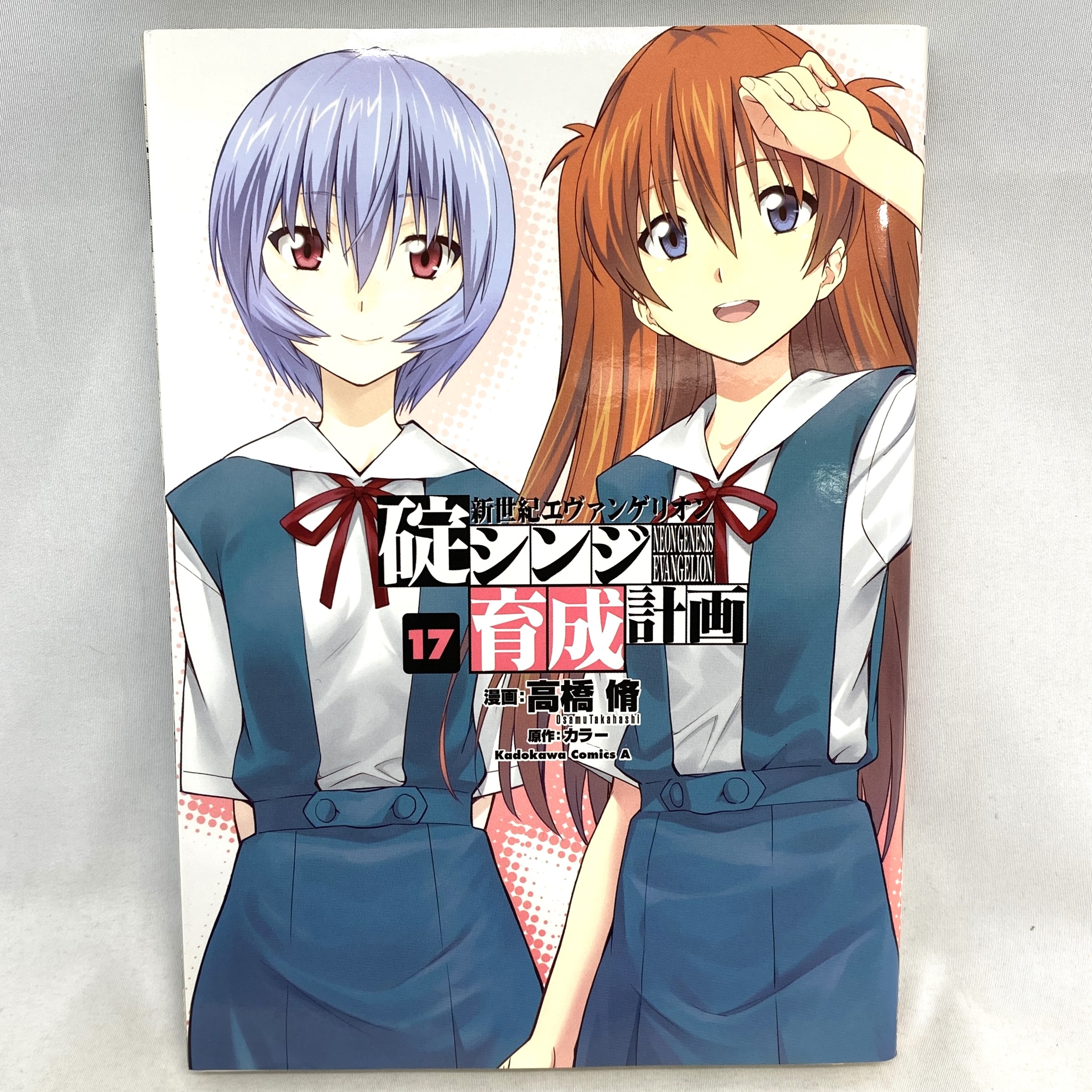 Kadokawa Comics A 新世紀エヴァンゲリオン 碇シンジ育成計画 17 高橋脩